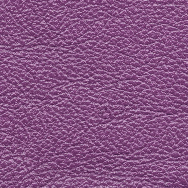 Violet leather texture — Stock Photo, Image