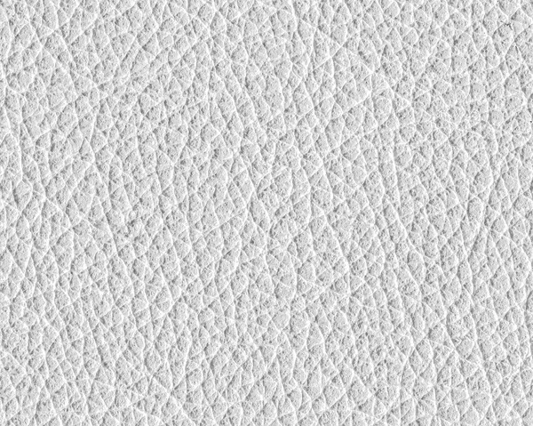 Staré closeup textura bílá kůže, — Stock fotografie