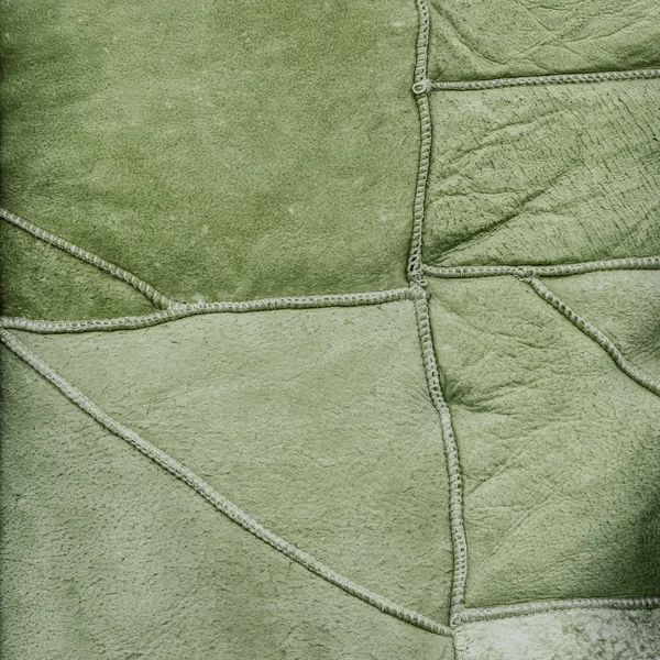 Painted green texture of the wrong side of a fur coat — Stock Photo, Image