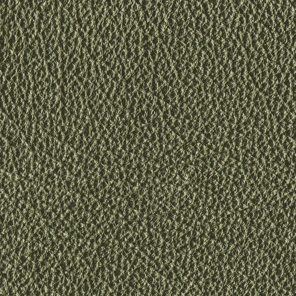 Textura de couro verde close-up. — Fotografia de Stock