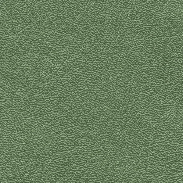 Green leatherr background — Stock Photo, Image