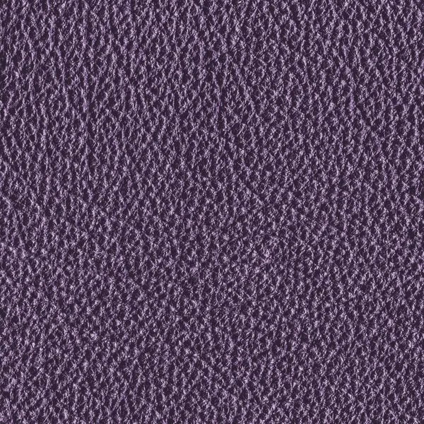 Textura de couro violeta close-up . — Fotografia de Stock