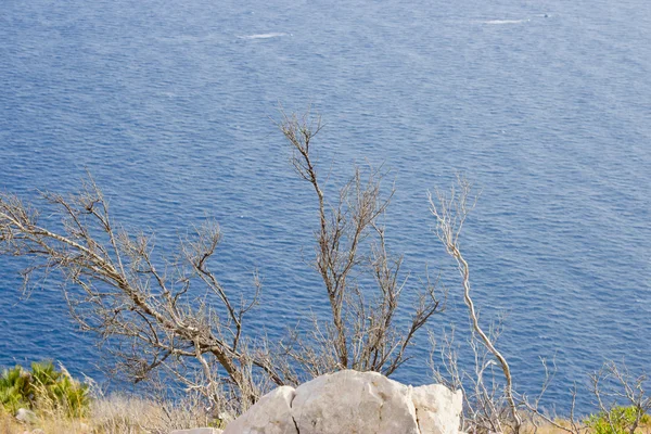 Seascape, utsikt från en klippa, — Stockfoto