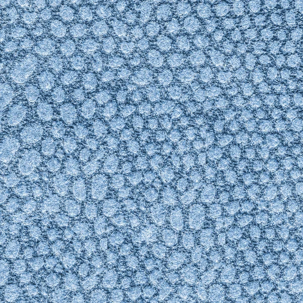 Blå bakgrund utifrån orm hud textur — Stockfoto
