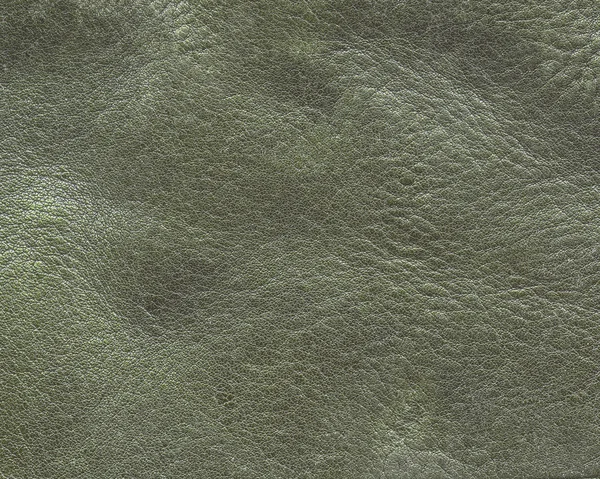 Grijs-groene leder texture, — Stockfoto