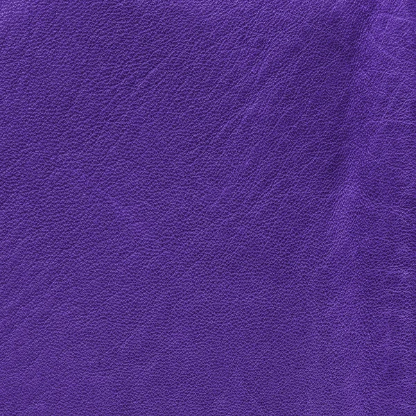 背景として明るい violetr 革の質感 — ストック写真