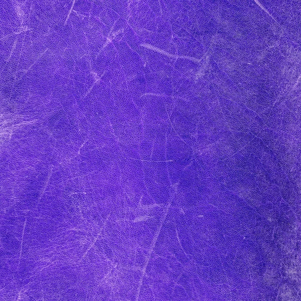 Textura de couro velho, riscado e desgastado violeta — Fotografia de Stock