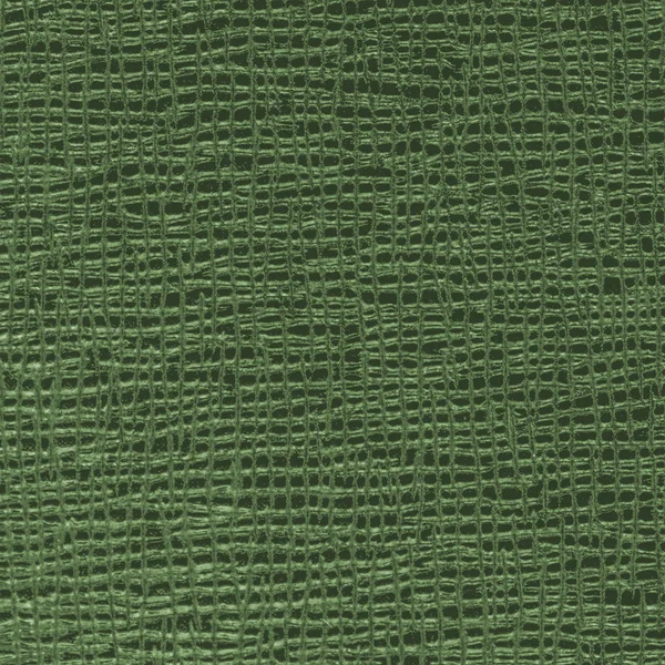 Texture in finta pelle verde ad alta dettaglio — Foto Stock