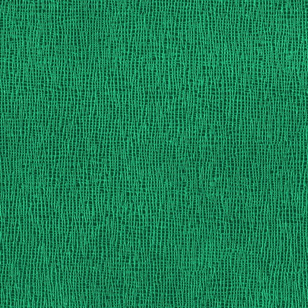 High detailed light green artificial leather texture — Stock Photo, Image