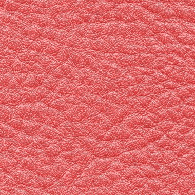 kırmızı deri portre