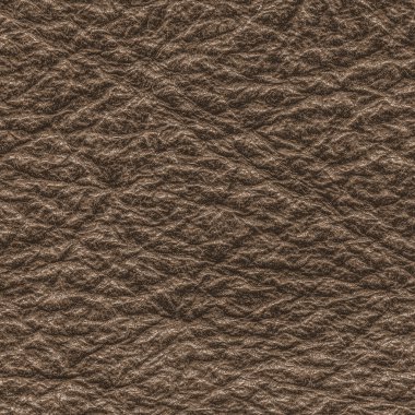 kahverengi deri portre