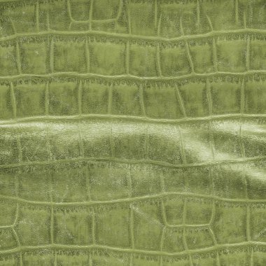 yeşil yılan derisi