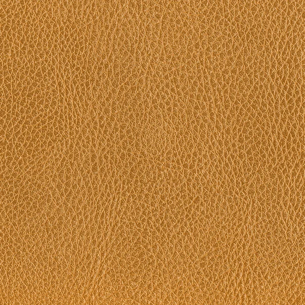 Textura de cuero — Foto de Stock