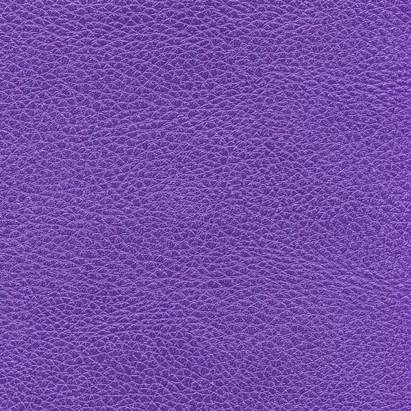 Leather texture — Stock Photo, Image