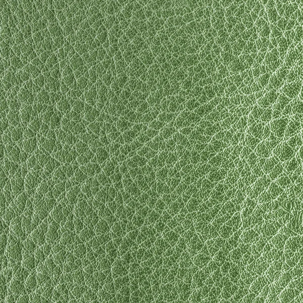 Textura de cuero — Foto de Stock