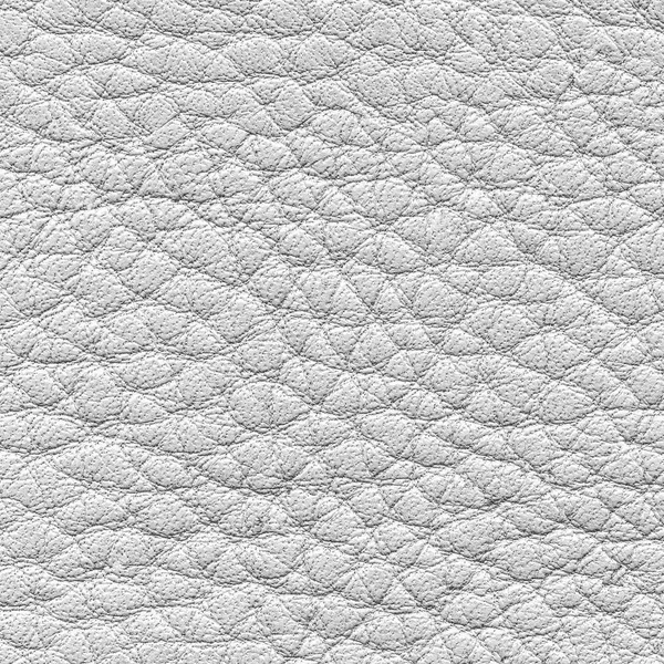 Leather texture — Stock Photo, Image