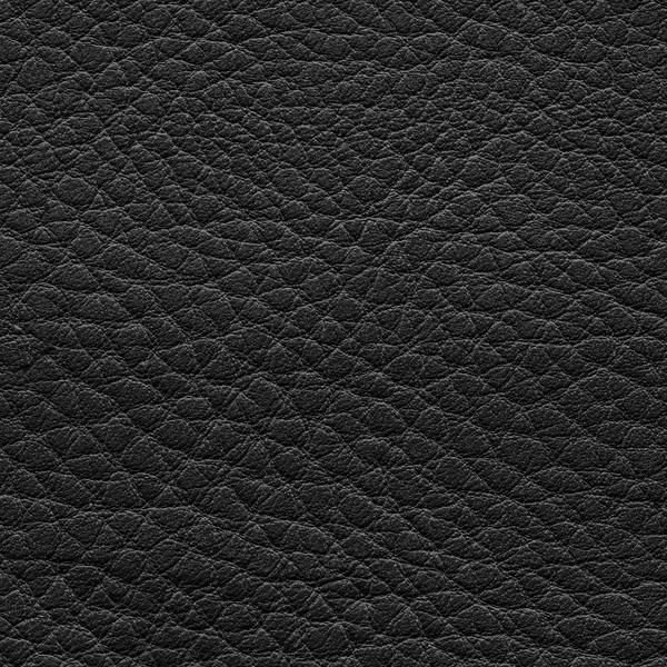 Leather texture — Stock Photo, Image