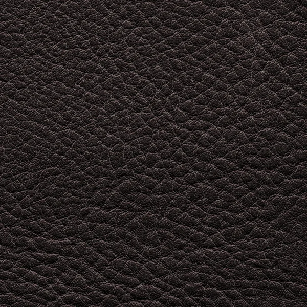 Leather texture — Stock Photo, Image