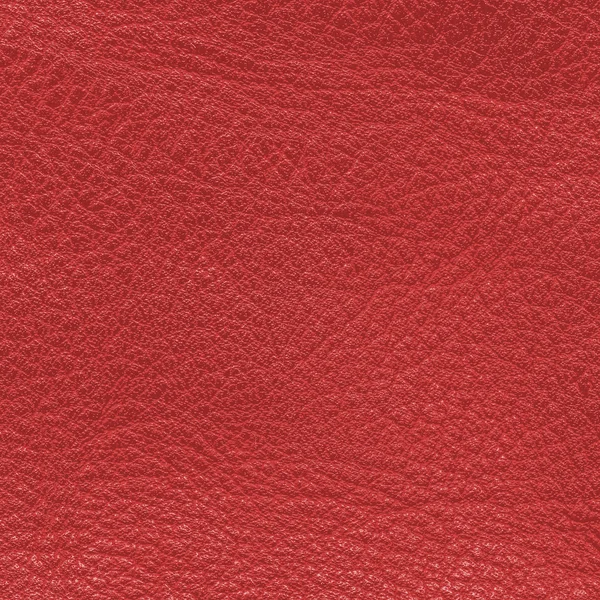 Leather texture — Stock Photo, Image