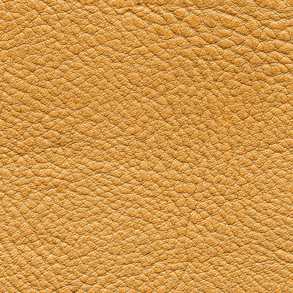 Textura de cuero — Foto de Stock