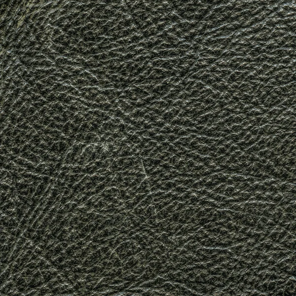 Textura de cuero negro — Foto de Stock