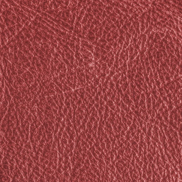 Texture in pelle rossa — Foto Stock