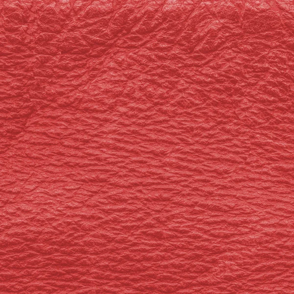 Red leather — Stock Photo, Image