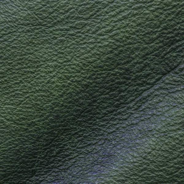 Leather texture — Stock Photo, Image