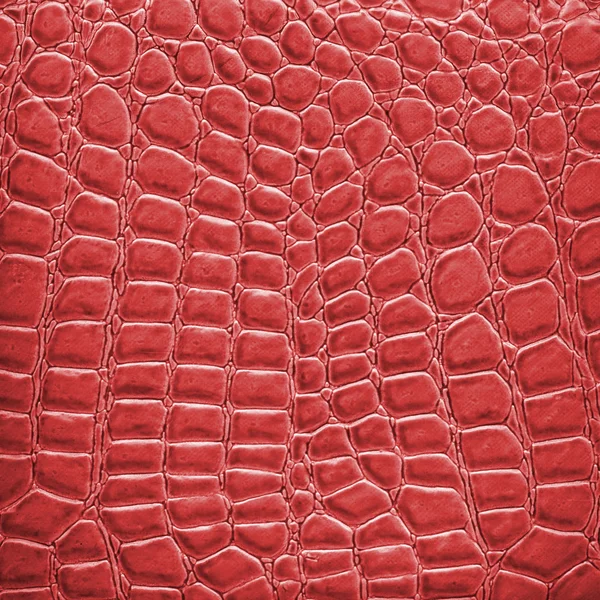 Red  snake skin — Stock Photo, Image