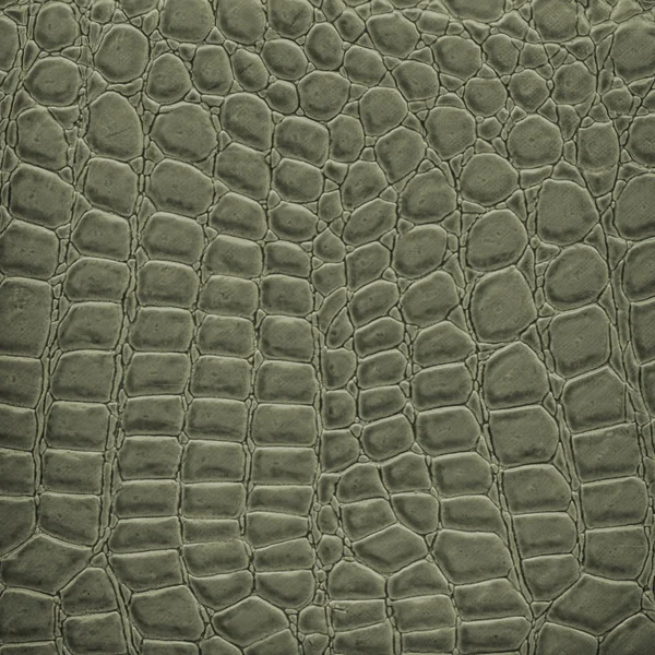 Snake skin texture — Stock Photo, Image