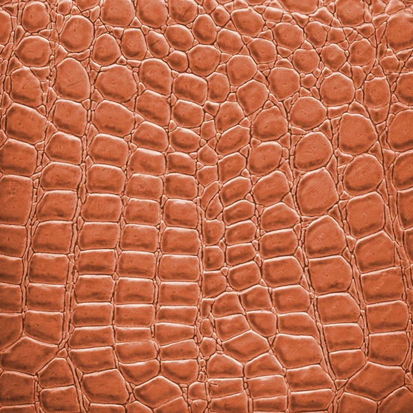 Oranžový hadí kůže — Stock fotografie