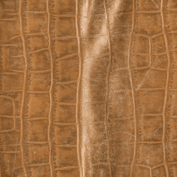 Textura em couro — Fotografia de Stock