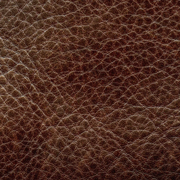 Brown leather closeup. — Stock Photo, Image