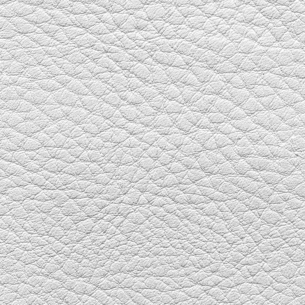 pin foto la texture della pelle on pin foto la texture della pelle on pin foto la texture della pelle on pin foto la texture della pelle on