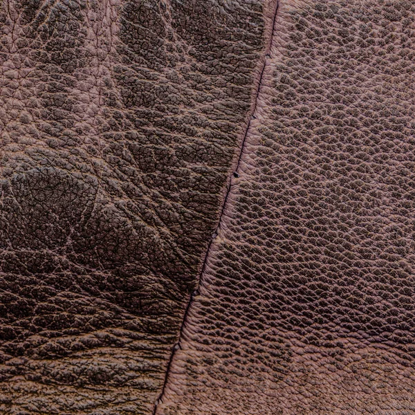 Texture cuir — Photo