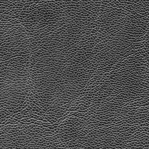 Leather texture — Stock Photo, Image