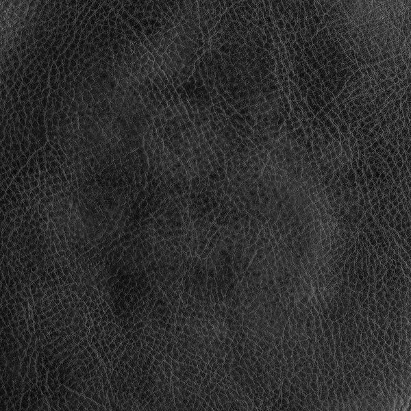 Leather texture — Stock Photo, Image