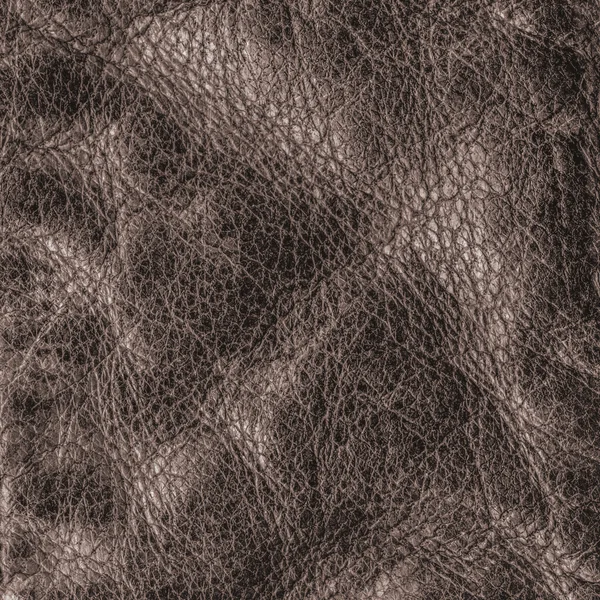 Leather texture — Stock Photo, Image