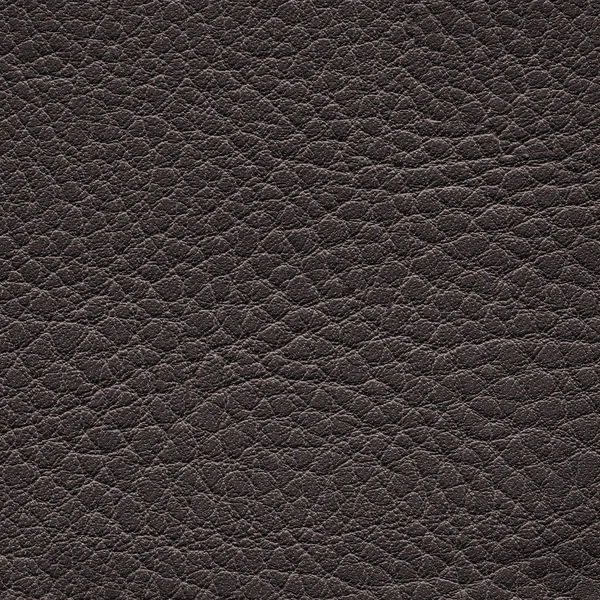 Leather texture — Stock Photo, Image