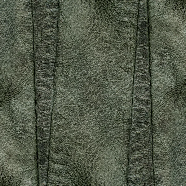 Gray-green leather texture — Stock Photo, Image