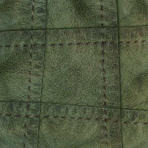 Texture in pelle verde — Foto Stock