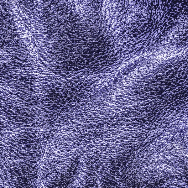 Violet leather closeup — Stock Photo, Image