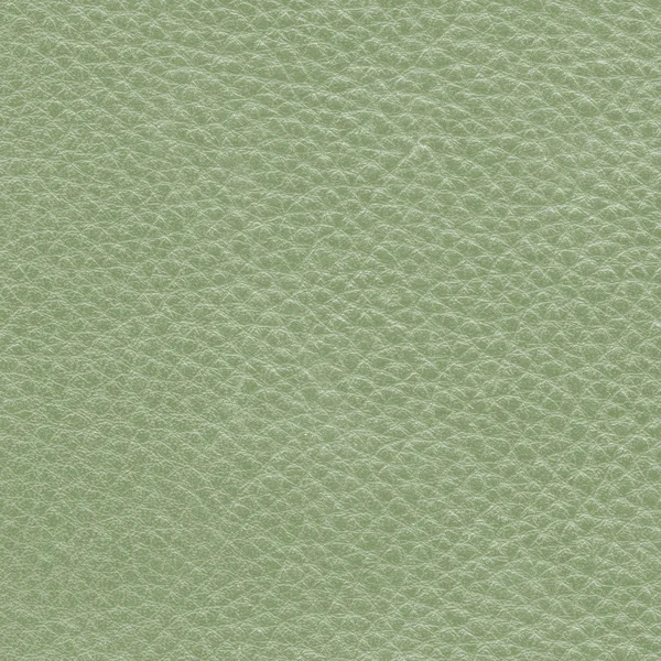 Texture cuir vert clair — Photo