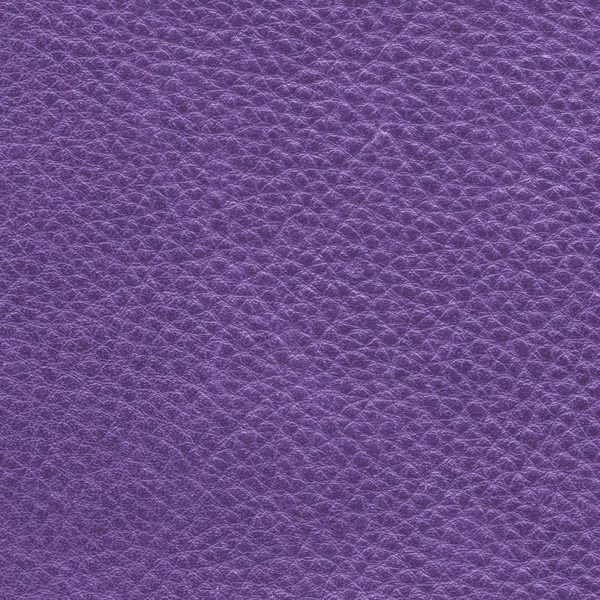 Violet leather texture — Stock Photo, Image