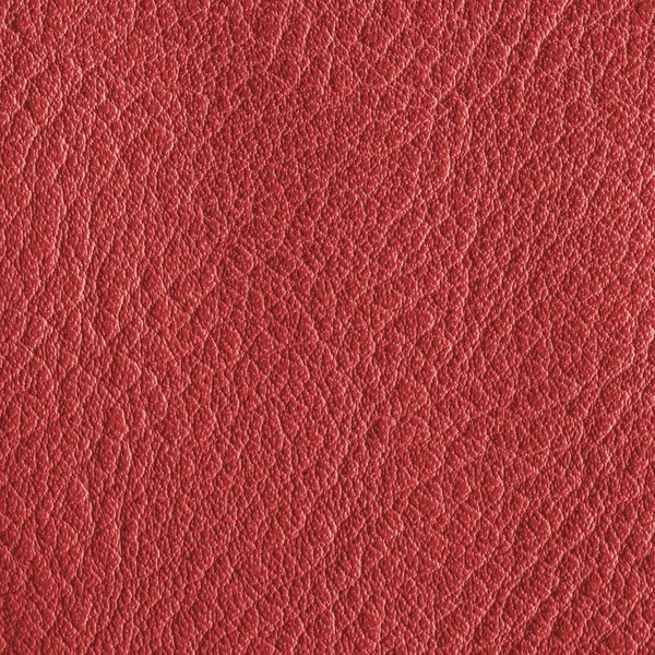 Textura de couro vermelho — Fotografia de Stock