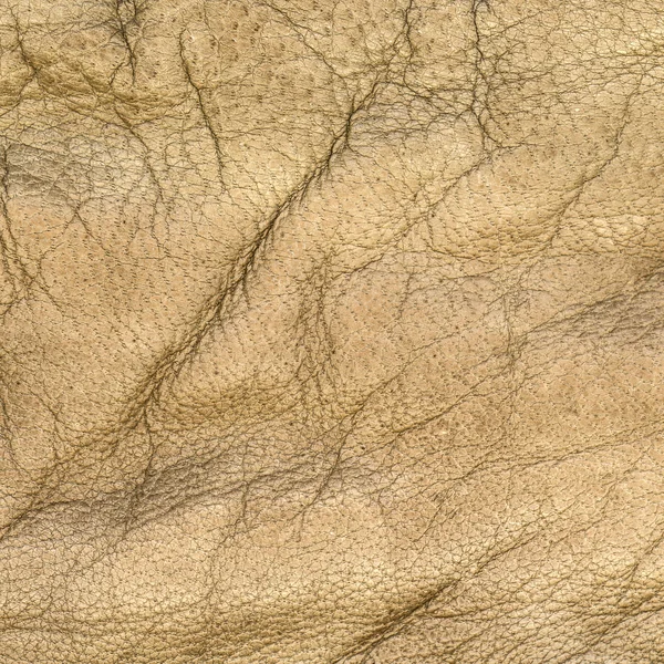 Brown wrinkled leather texture — Stock Photo, Image