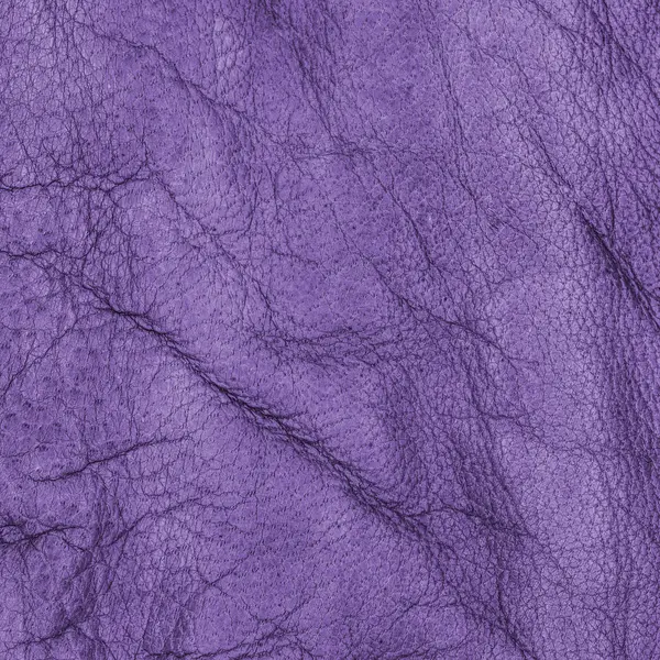 Textura de cuero arrugado violeta — Foto de Stock