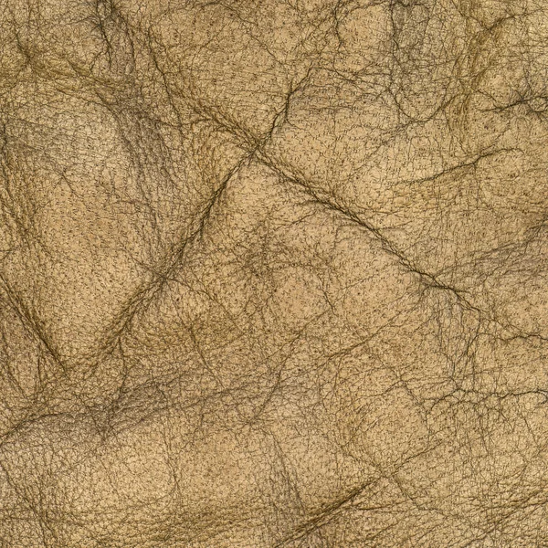 Brown wrinkled leather texture — Stock Photo, Image