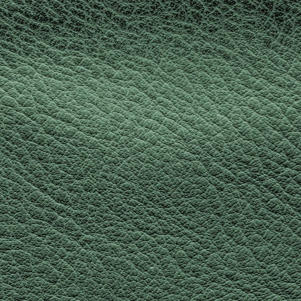 Texture cuir vert gros plan — Photo