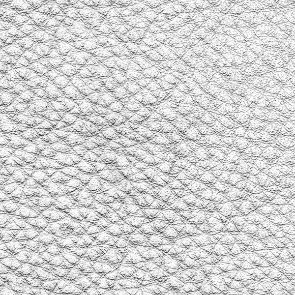 Oude witte leder texture — Stockfoto